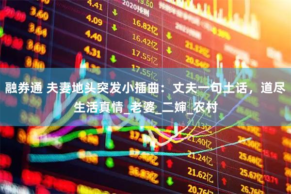 融券通 夫妻地头突发小插曲：丈夫一句土话，道尽生活真情_老婆_二婶_农村