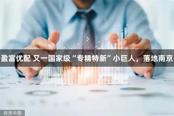 盈富优配 又一国家级“专精特新”小巨人，落地南京