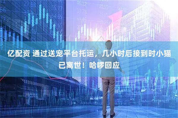 亿配资 通过送宠平台托运，几小时后接到时小猫已离世！哈啰回应